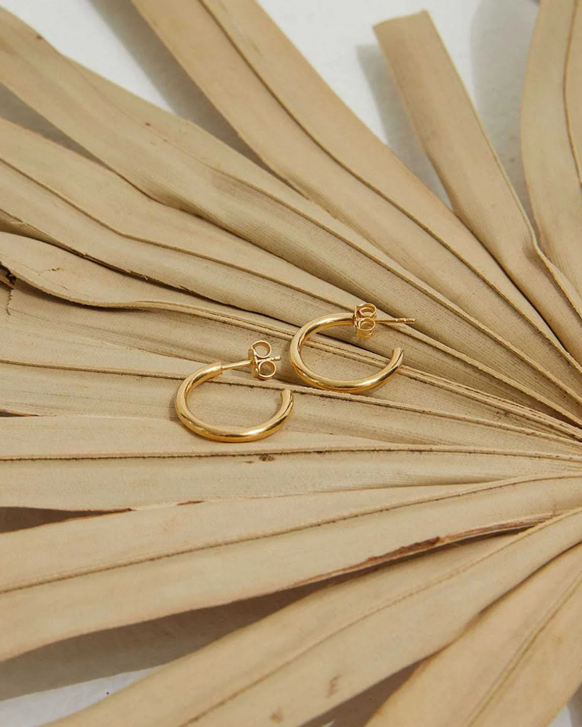 Dear Darling Berlin Essential Hoop Earrings Medium Gold